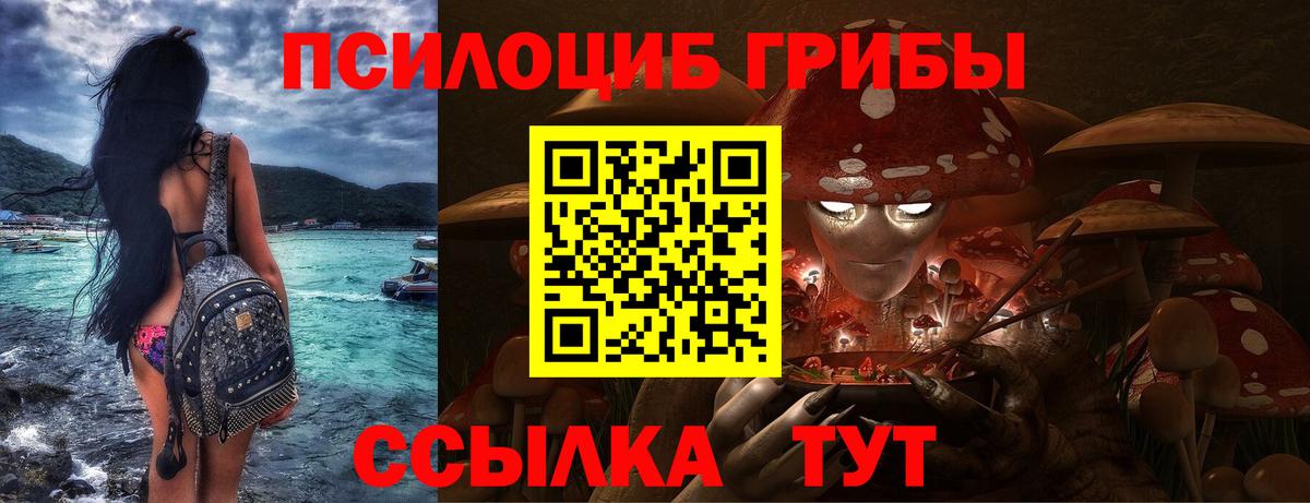 Солнечногорск  Псилоцибиновые грибы мухоморы  Псилоцибиновые грибы прущие грибы  Вход с VPN 